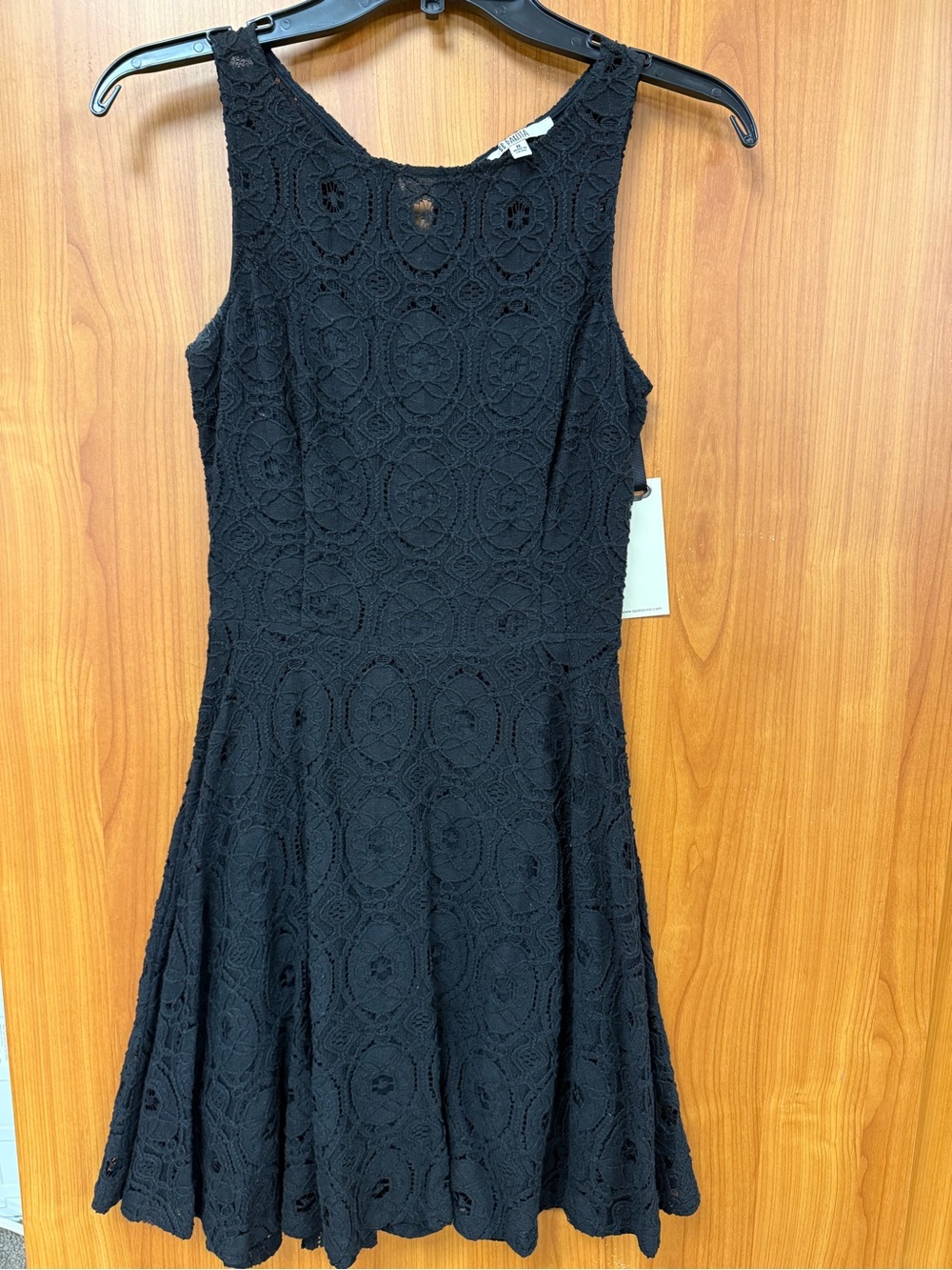 BB Dakota Black Lace Fit & Flare Mini Dress